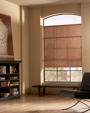 Designer Roller Shade