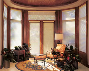 Silhouette Shade